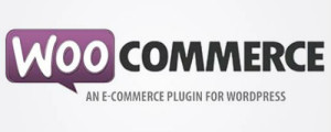 WooCommerce Multi-Currency Plugin